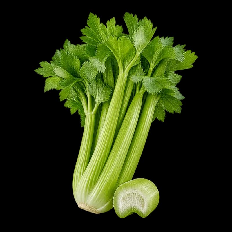 Selderij