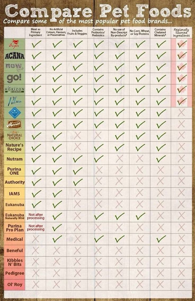 Getreidefrei vs. Traditionell: Was ist das Richtige für Ihr Haustier?