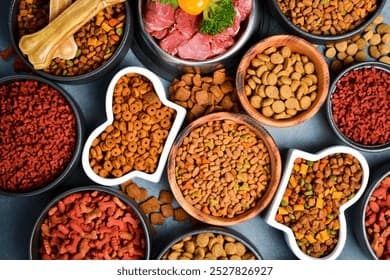 Die Wissenschaft Hinter Premium-Haustierfutter-Zutaten