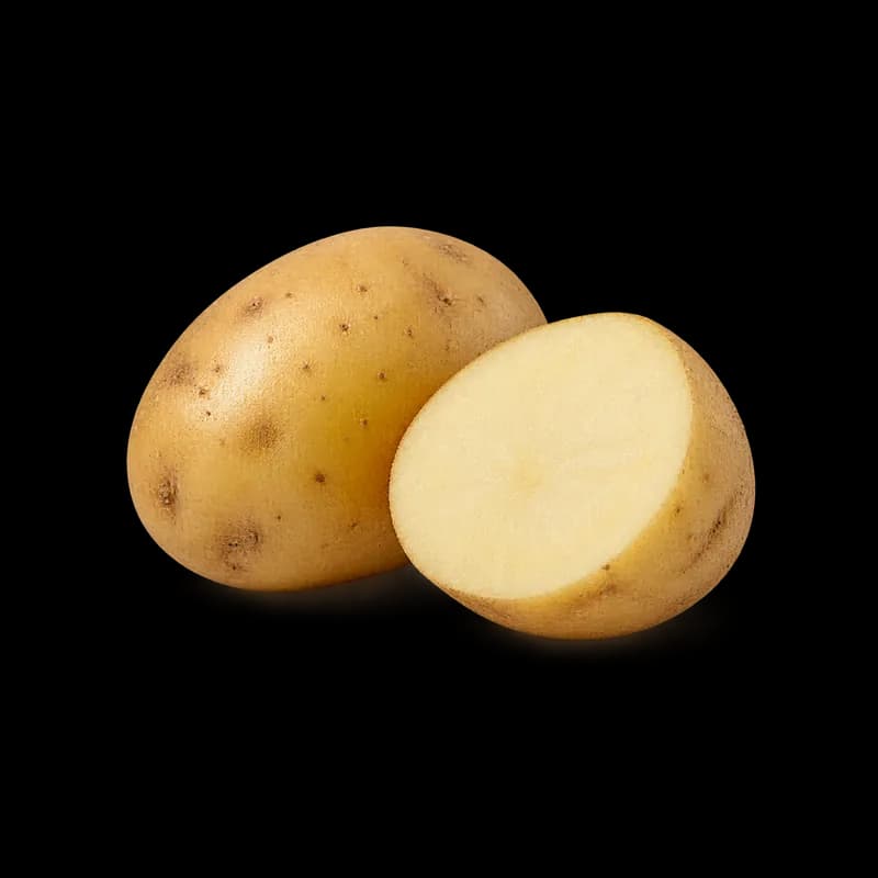 Aardappel