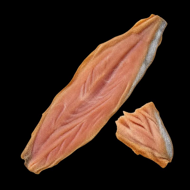 Forel