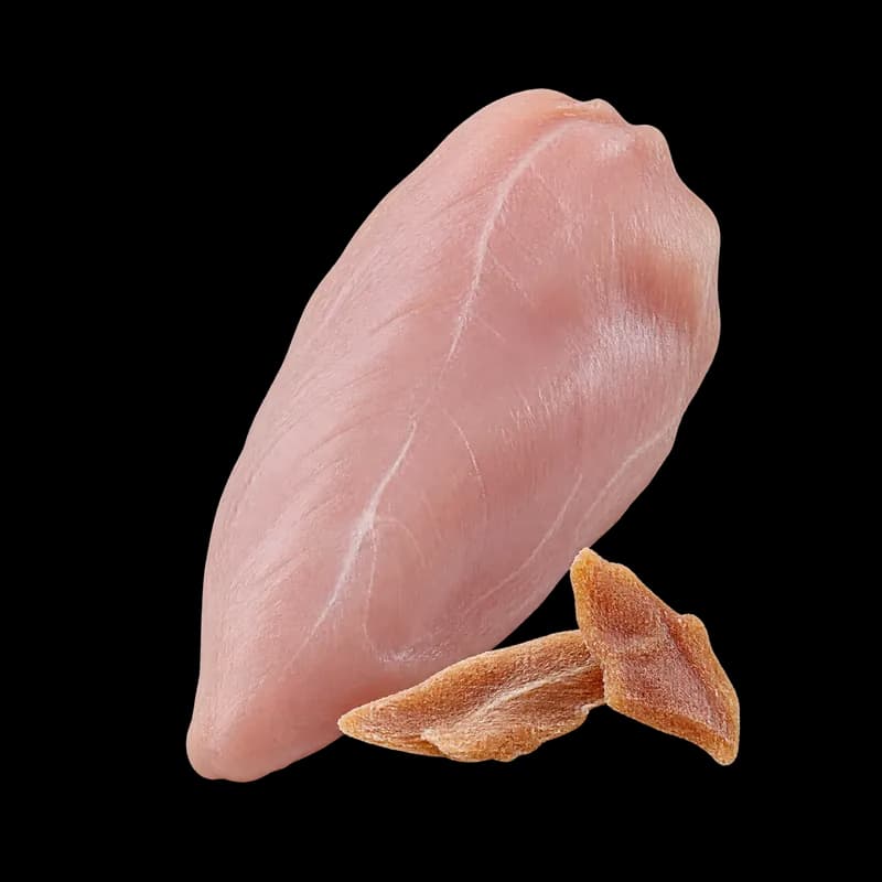 Kalkoen